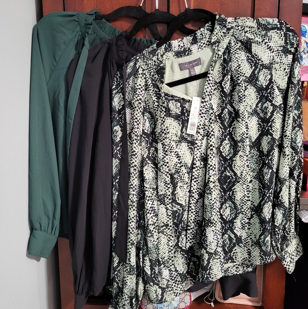 NEW BUNDLE 3 The Limited Aston Ruffle Long Sleeve Blouse XS
